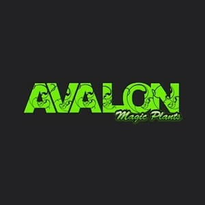 Avalon Magic Plants Logo