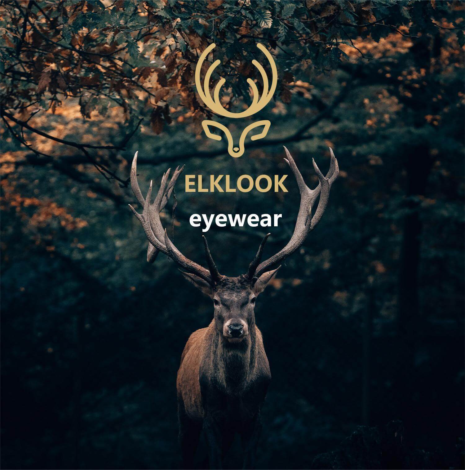 Elklook Eyewear Logo