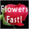 Flowers Fast.com-Send Flowers Same Day Delivery Logo
