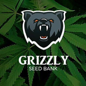 Grizzly Seed Bank Logo