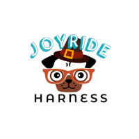 Joyride Harness