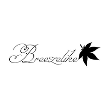 Skyworkshop Inc.(Breezelike Handmade Comb) Logo