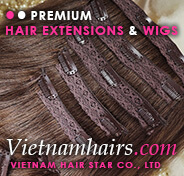 VIET NAM HAIR STAR COMPANY LIMITED Logo
