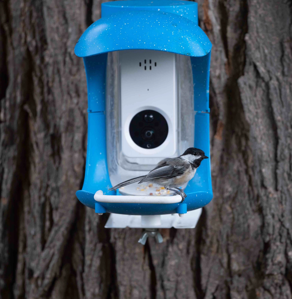 smart-bird-feeder