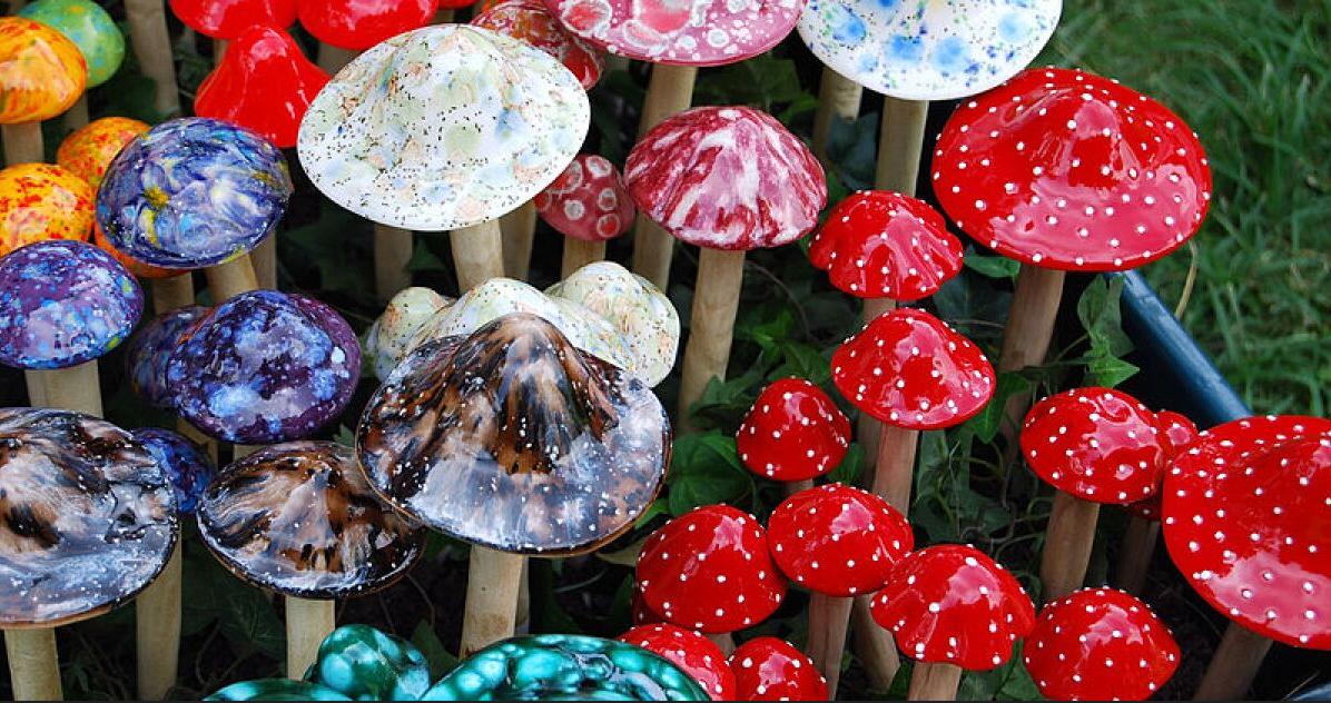 mushroom-genie-discount-code