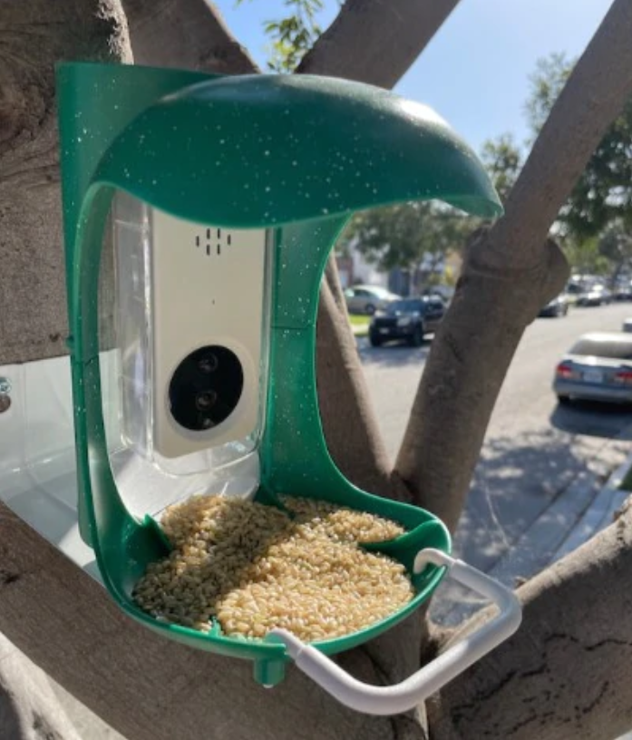 bird-feeder-camera