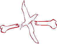 Albatross Designs Logo