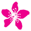 Apple Blossom Naturals Logo