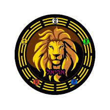 ARIEL KENE Logo