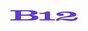 B12 Logo
