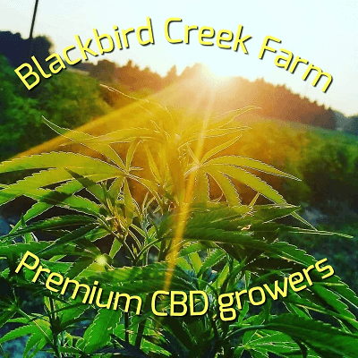 Blackbird Creek Farms Logo