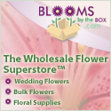BloomsByTheBox.com Logo