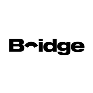 Bridge money Logo