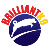 BrilliantK9 Logo