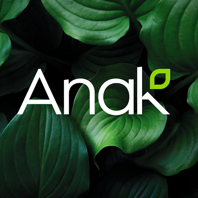 Clean beauty by AnaK Logo