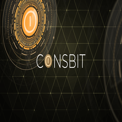 Coinsbit Logo