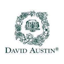 David Austin Roses Coupons