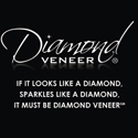 Diamond Veneer Travel Jewelry Logo