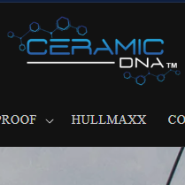 DNA Surface Concepts Logo
