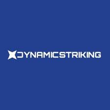 Dynamic Striking Logo