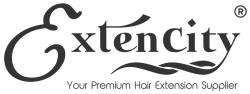 ExtenCity Hair Ambassador Program