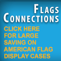Flags connections Logo