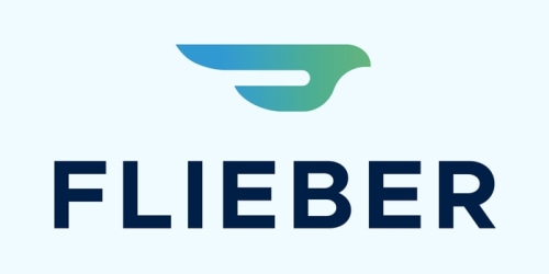 Flieber Logo