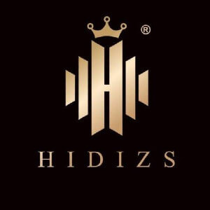 Hidizs Technology Company Limited Logo