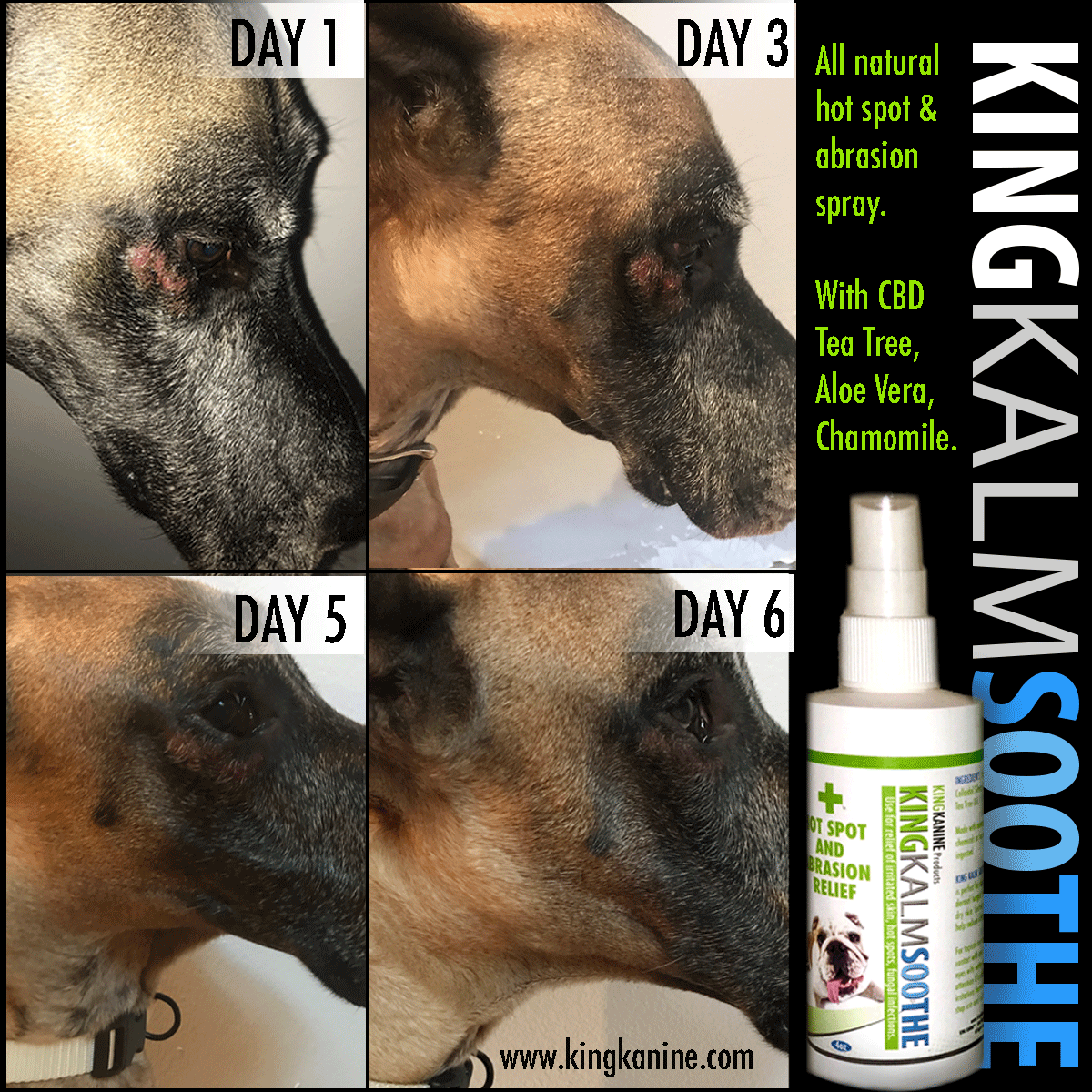 KING KALM 600mg for Great Danes
