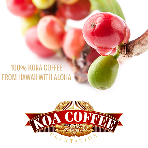 Koa Coffee Logo