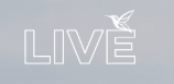 Popular Store Live Kolibri