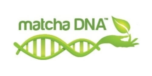 Matcha DNA Logo