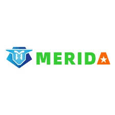 Merida Technology Co., Ltd Logo