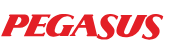 Pegasus Airlines Coupons