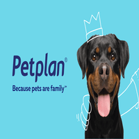 PetPlan Logo