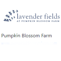 Pumpkin Blossom Farm