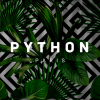 Python Paris Logo