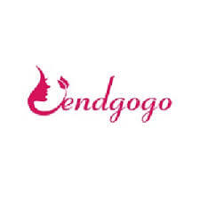 Shenzhen Lendgogo Technology Logo