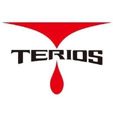 ShenZhen Terios Technology Logo