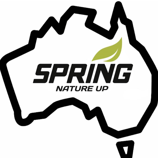 Spring Energy Logo