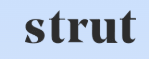 Popular Store Strut Health