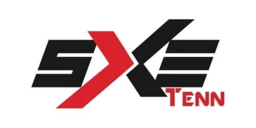 SXE Electronics Logo