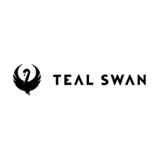 TealEye LLC