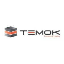 TEMOK.com Logo