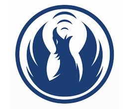 The Phoenix Logo