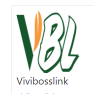 Vivibosslink Logo