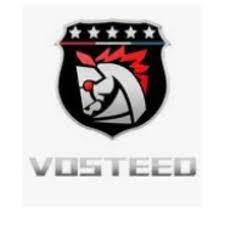 Vosteed Logo