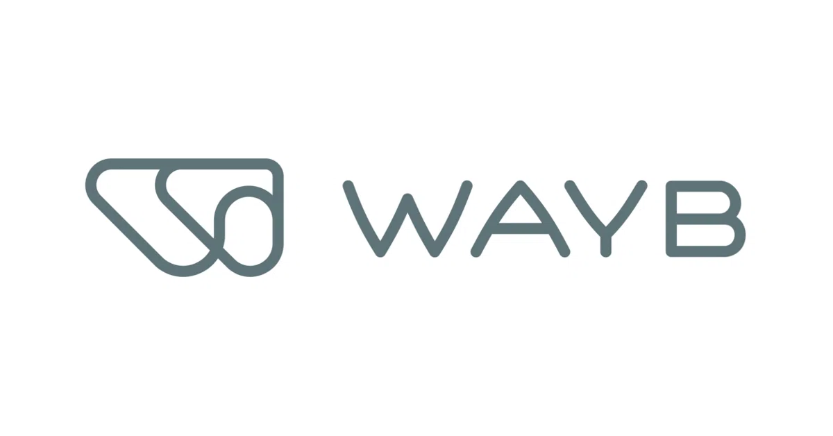  WAYB Logo