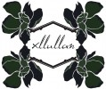 Xllullan Logo